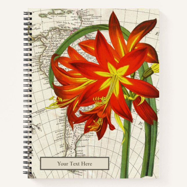 Cuaderno Portátil Phycella Fulgens (Anverso)