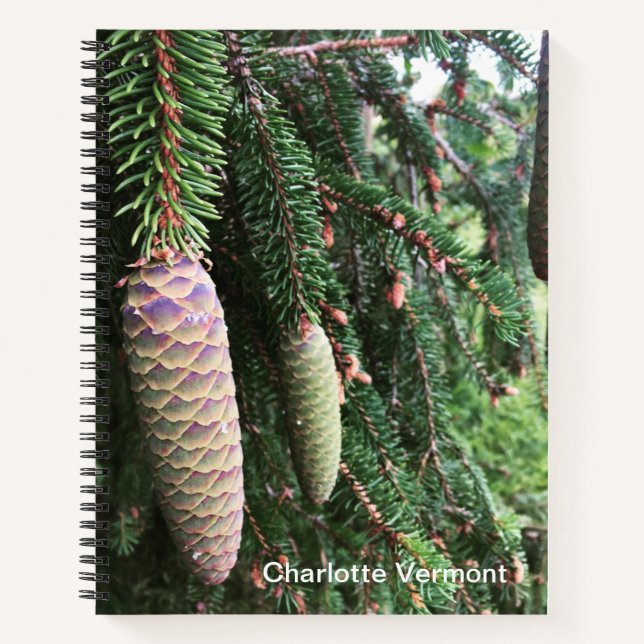 Cuaderno Portátil Pine (Anverso)