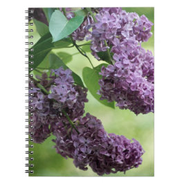 Cuaderno Portátil Primavera Agradable