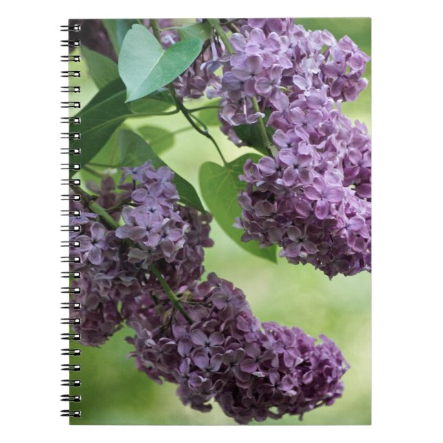 Cuaderno Portátil Primavera Agradable (Frente)