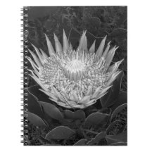 Portátil Protea en blanco y negro