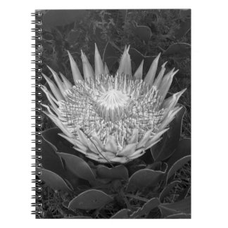 Cuaderno Portátil Protea en blanco y negro