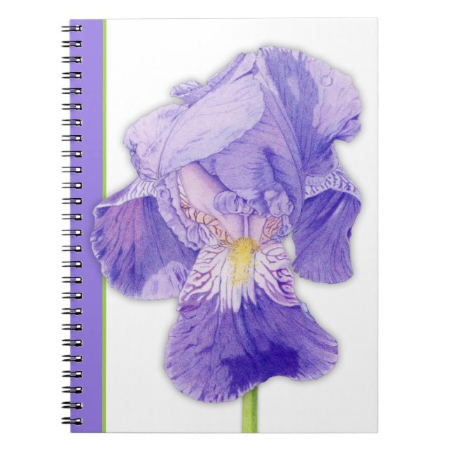 Cuaderno Portátil Purple Iris 2 (Frente)