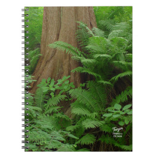 Cuaderno Portátil Redwood & Ferns
