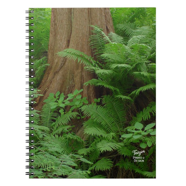 Cuaderno Portátil Redwood & Ferns (Frente)