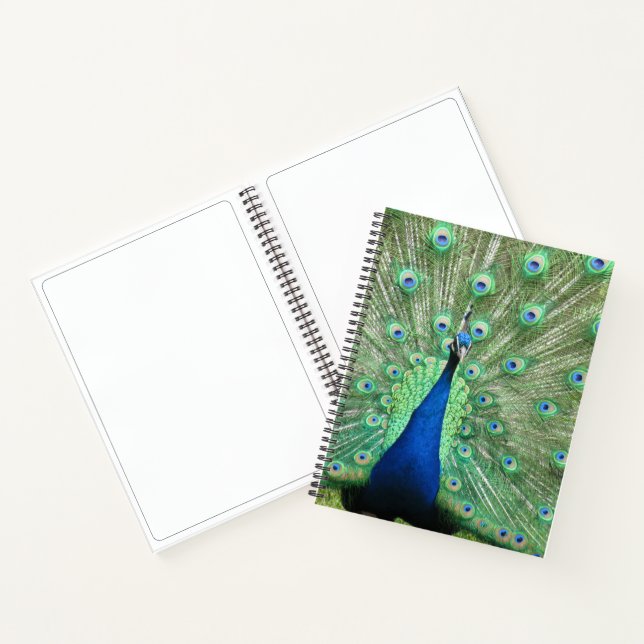 Cuaderno Portátil - Retrato de pavo real (Interior)