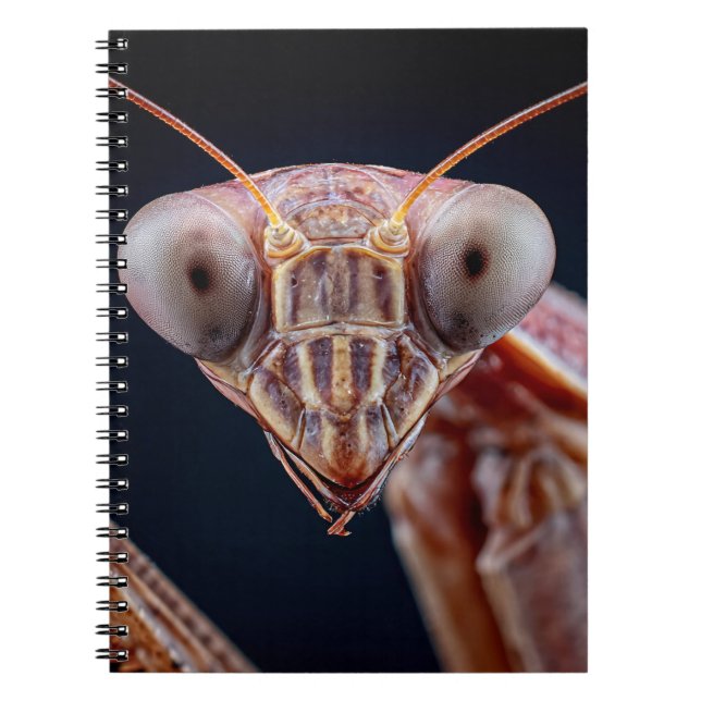 Cuaderno Portátil Rezando Retrato Mantis (Frente)