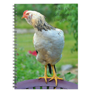 Cuaderno Portátil Rooster