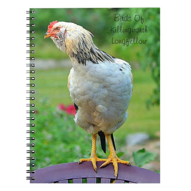 Cuaderno Portátil Rooster (Frente)