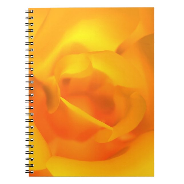 Cuaderno Portátil Rosa amindado (Frente)