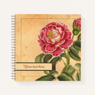 Cuaderno Portátil Rosa de Provenza de 8,5 x 8,5"