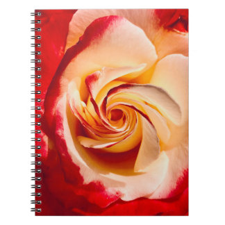 Cuaderno Portátil Rosa de torsión
