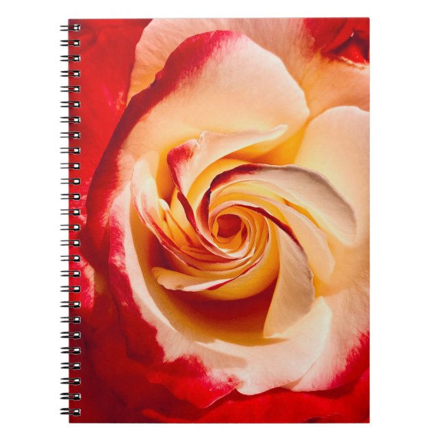Cuaderno Portátil Rosa de torsión (Frente)