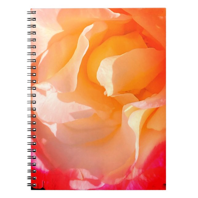 Cuaderno Portátil Rosa desordenado (Frente)