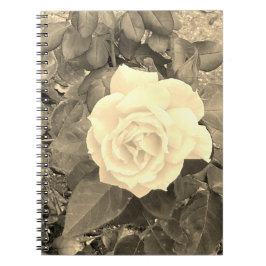 Cuaderno Portátil Rosa Sepia