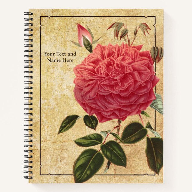 Cuaderno Portátil Rosa Souvenir de la Malmaison (Anverso)