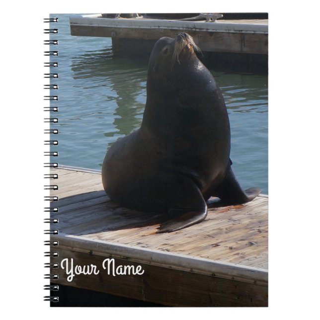 Cuaderno Portátil San Francisco Pier 39 Sea Lion #3-2 (Frente)