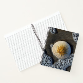 Cuaderno Portátil Sand Dollar and Surf Beach Photo 8x11