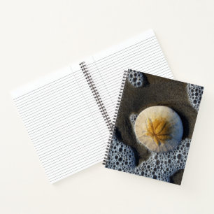 Cuaderno Portátil Sand Dollar and Surf Beach Photo 8x11