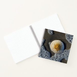 Cuaderno Portátil Sand Dollar and Surf Beach Photo 8x8