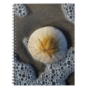 Cuaderno Portátil Sand Dollar and Surf Beach Photo Spiral
