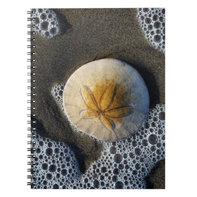 Cuaderno Portátil Sand Dollar and Surf Beach Photo Spiral (Frente)