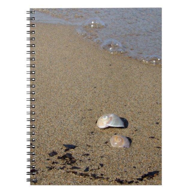 Cuaderno Portátil Seashell Seashore (Frente)