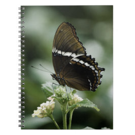 Cuaderno Portátil Siproeta