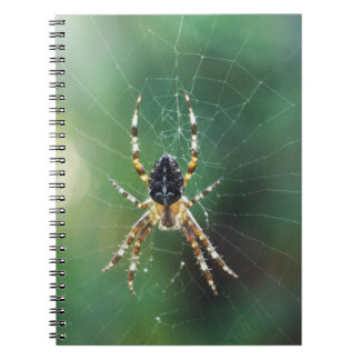 Cuaderno Portátil Spider Spider (80 páginas B&W)