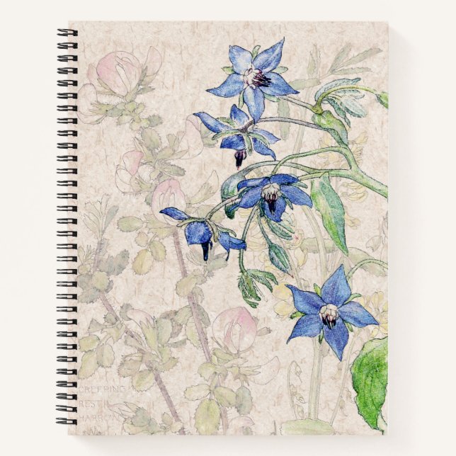 Cuaderno Portátil Starflower Borage Wildflower Flowers (Anverso)