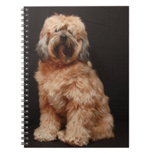 Cuaderno Portátil Terrier Tibetano