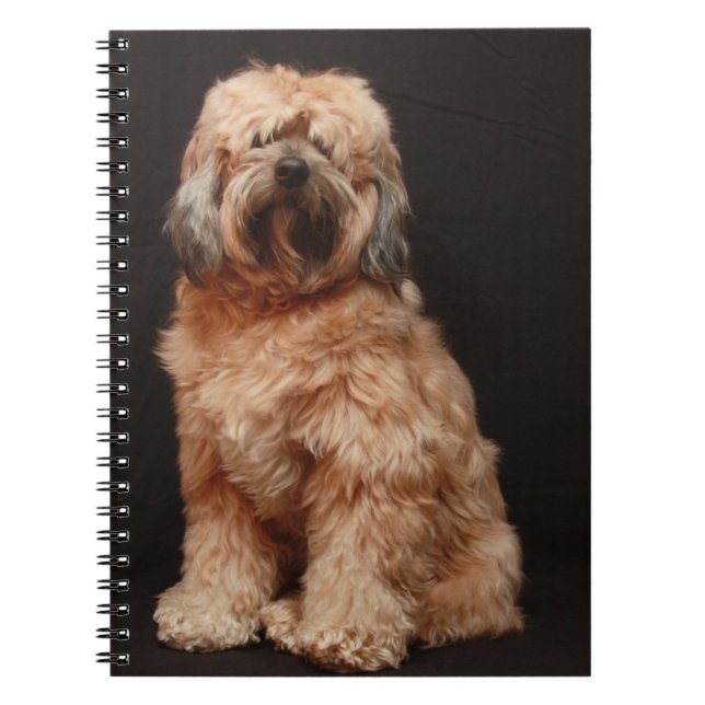 Cuaderno Portátil Terrier Tibetano (Frente)