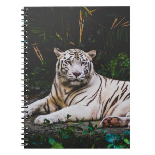 Cuaderno Portátil Tiger