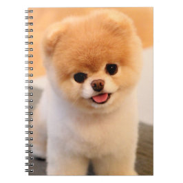 Cuaderno Portátil único Pomerania con encanto