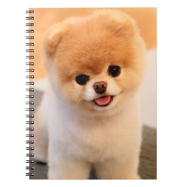 Cuaderno Portátil único Pomerania con encanto (Frente)
