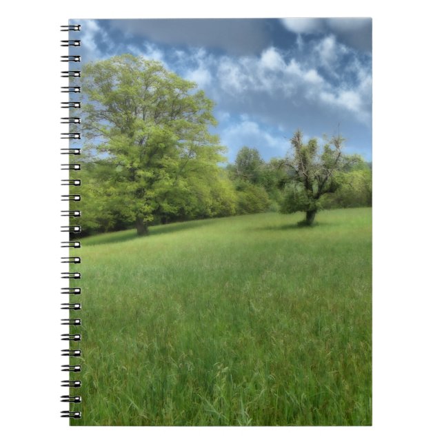 Cuaderno Portátil verde appalache (Frente)