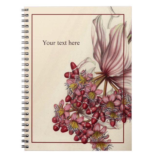 Cuaderno Portátil Vintage Medinilla Magnifica (Frente)