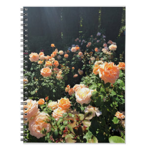 Cuaderno Portland Rosa Garden, OR