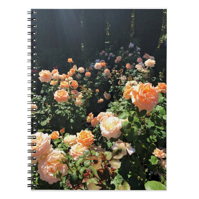 Cuaderno Portland Rosa Garden, OR (Frente)