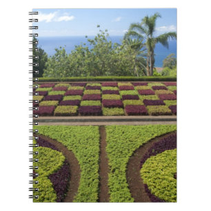 Cuaderno Portugal, Isla de Madeira, Funchal. Botánico