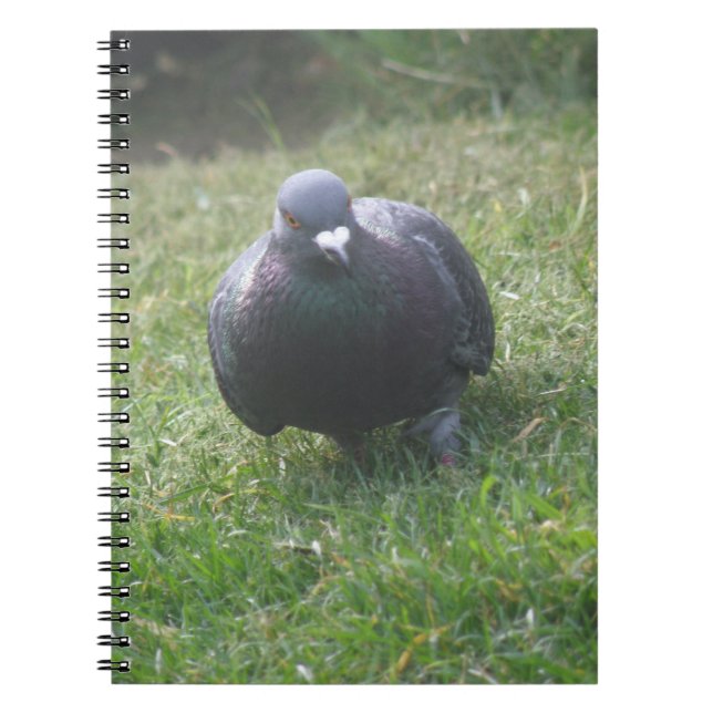 Cuaderno Posando bloc de notas de pichón (Frente)