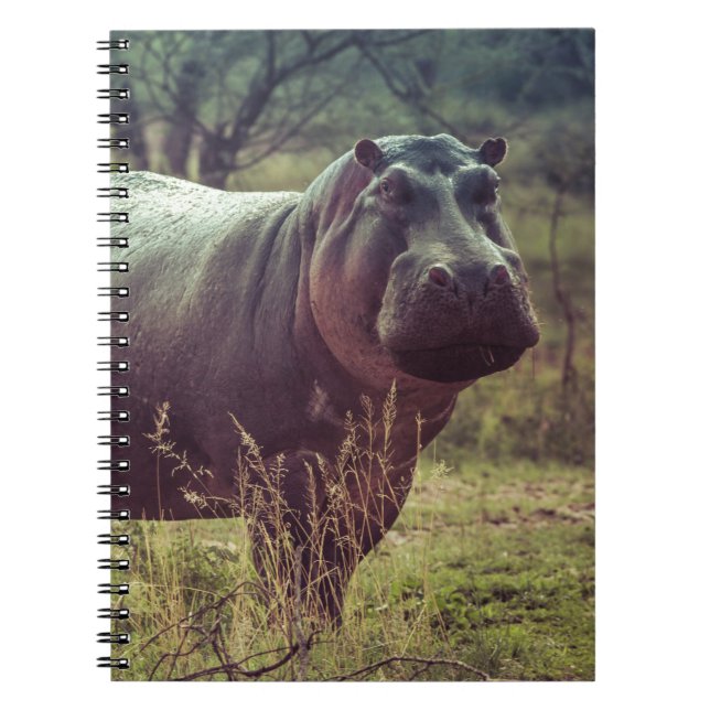 Cuaderno Posando hipopótamo frente a cámara en follaje afri (Frente)