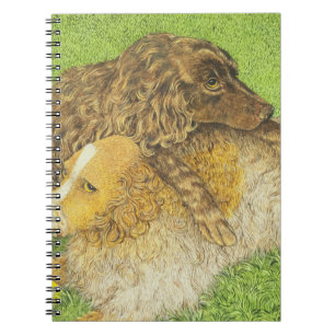 Cuaderno Posesión