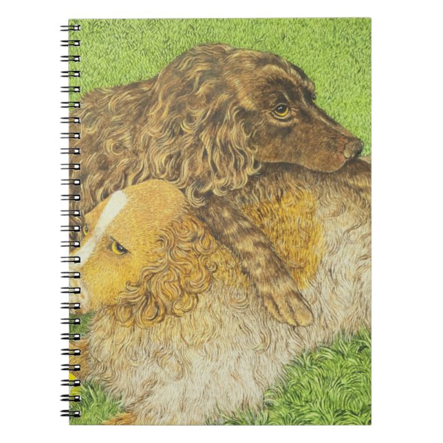 Cuaderno Posesión (Frente)