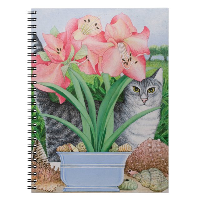 Cuaderno Posibilidades de exploración 2011 (Frente)