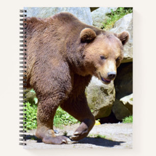 Cuaderno Postal con caminata de oso marrón