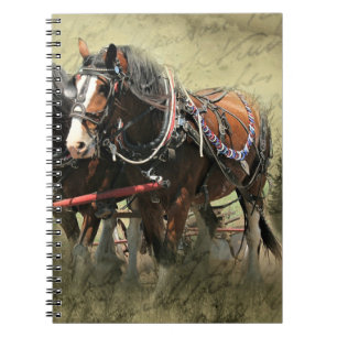 Cuaderno Postal de Clydesdale Weathered Vintage