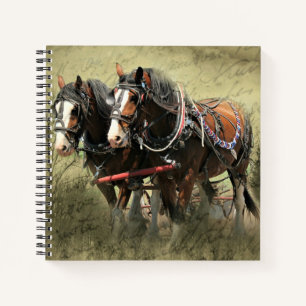 Cuaderno Postal de Clydesdale Weathered Vintage