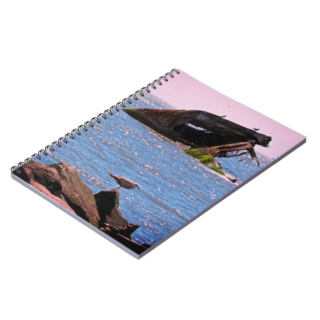 Cuaderno Postal de Shipwreck de Cape May (Lado Izquierdo)