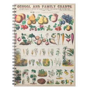Cuaderno Póster botánico de verduras